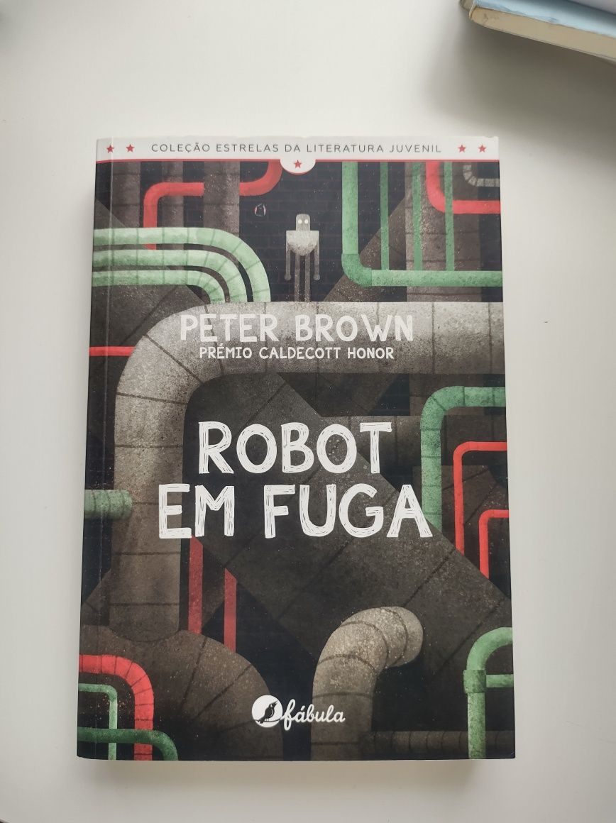 Livro "Robot em Fuga"