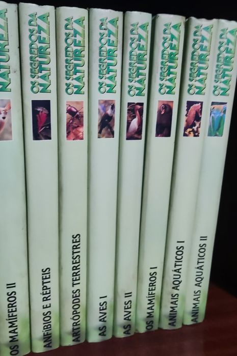 Vendo várias coleções