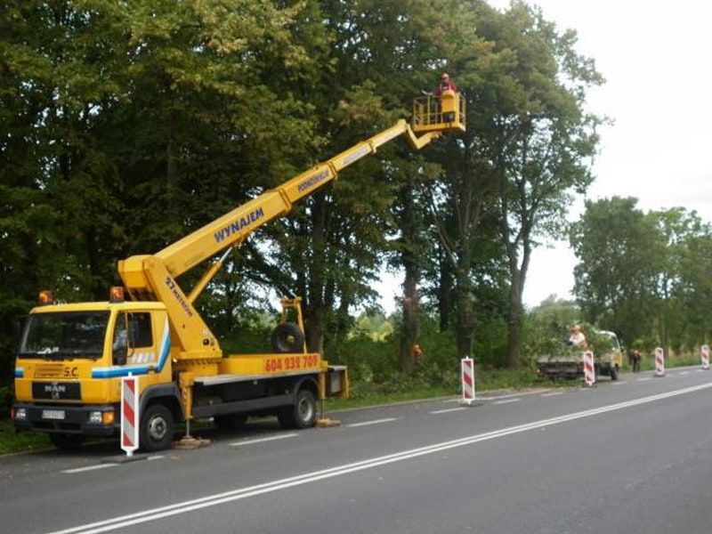 Pielęgnacja Drzew i Karczowanie Terenów Zielonych - Stargard i Okolice