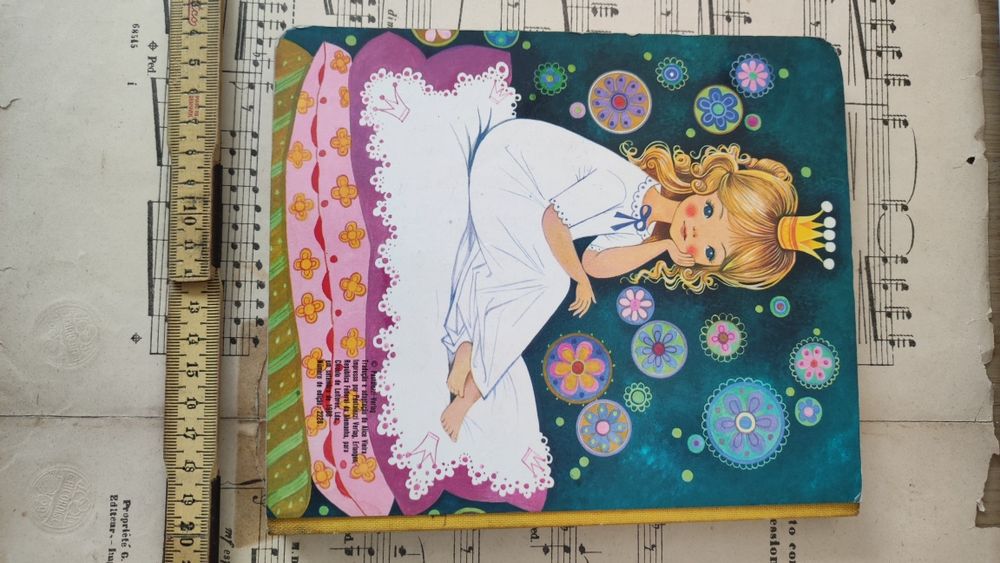 Livro A Gata Borralheira Antigo