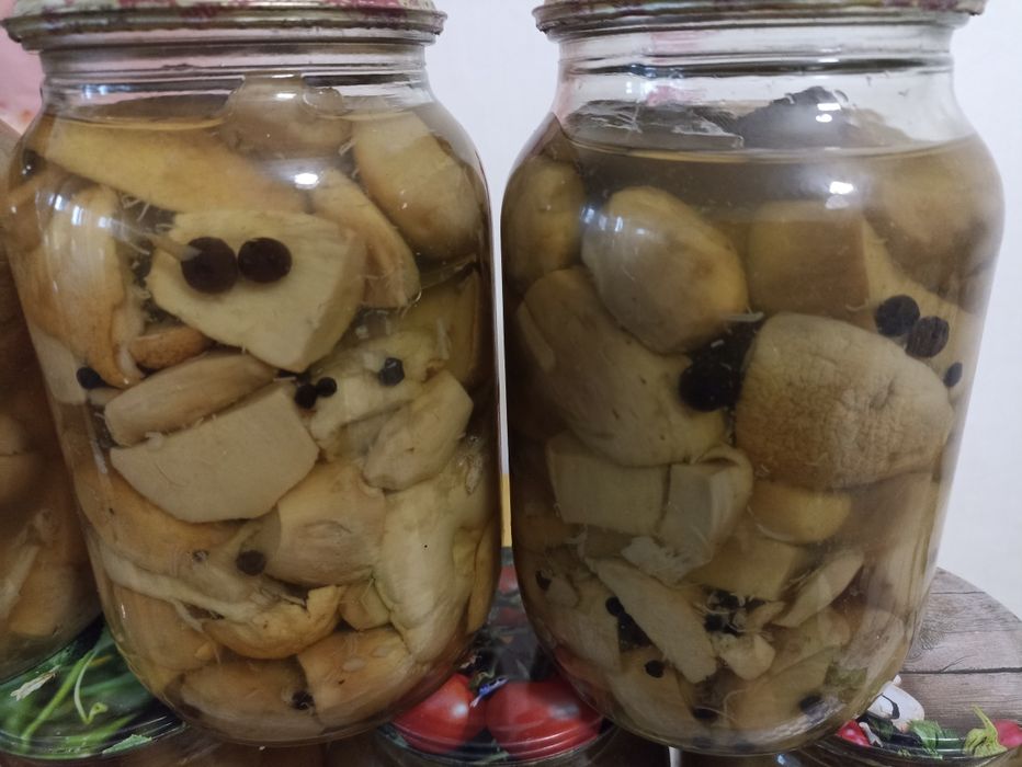 Гриби БІЛІ ціленькі мариновані та сушені