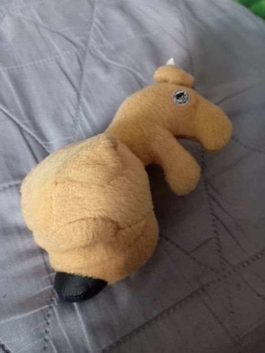 Piesek z serii the dog