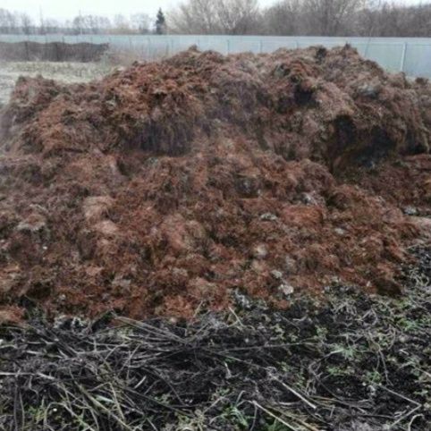 Удобрение. Компост грибной. Удобрение для земли.