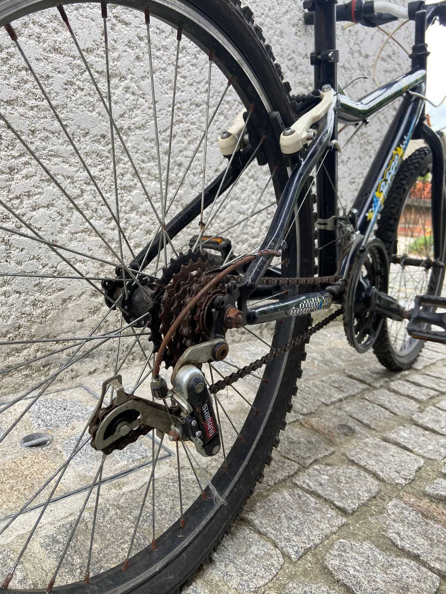 Bicicleta para jovem da Berg