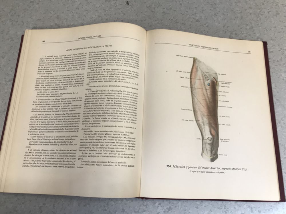 Atlas de Anatomia Humana Sinelnikov I tom Anatomia