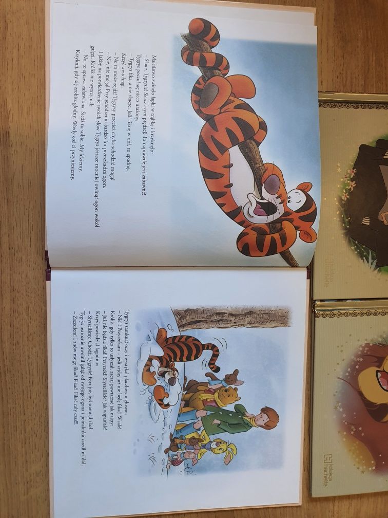 Książki Disney Król Lew Kubuś i Tygrys Księga Dżungli