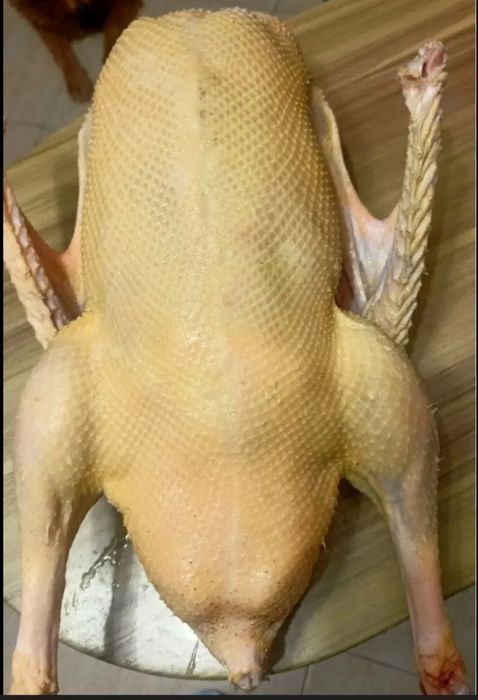 Sprzedam tuszki gęsi i kaczki