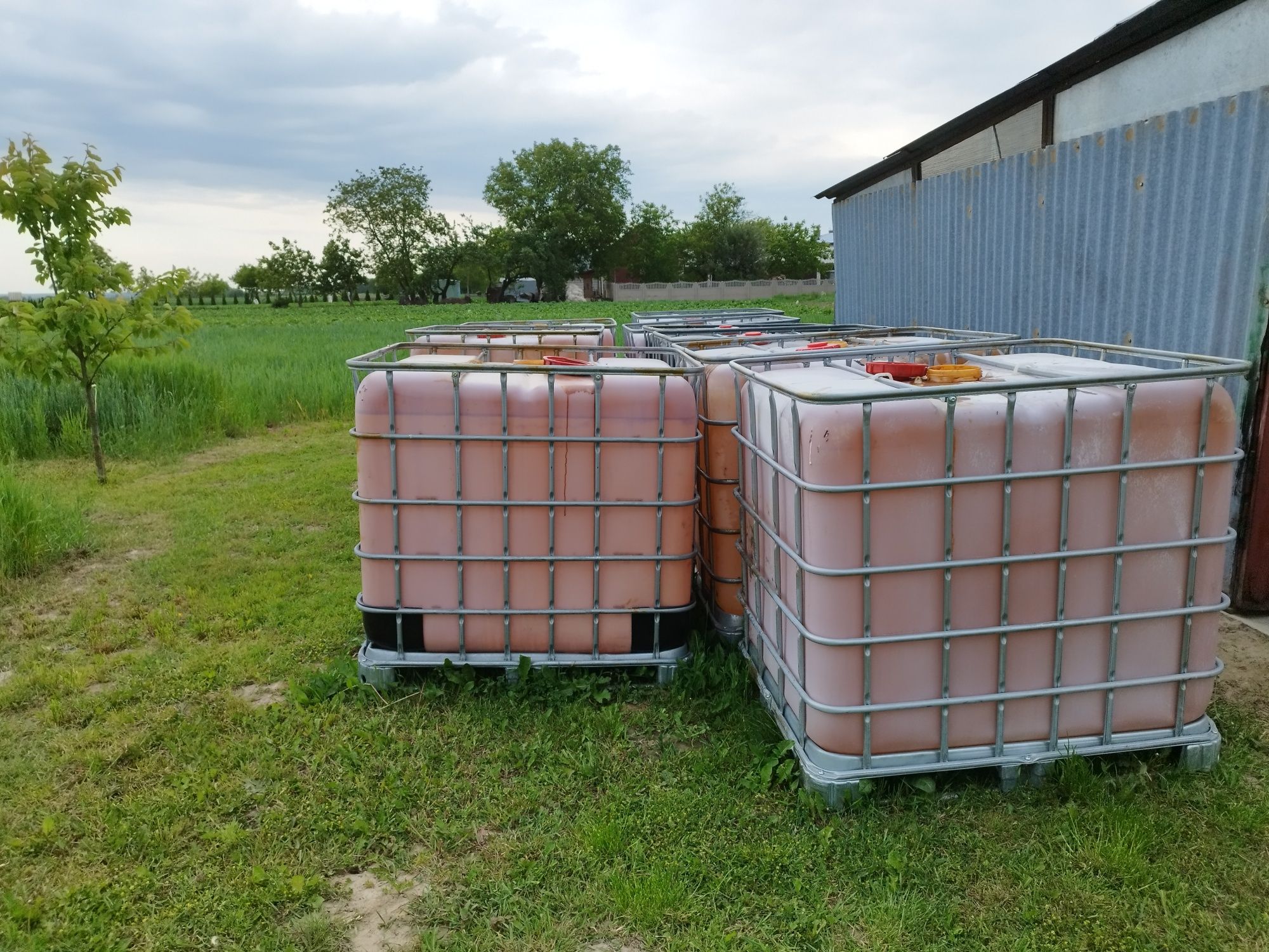 Pojemnik Bańka 1000L Mauzure Beczka Szambo Woda PaliwoCPN MetalowyKosz