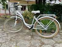 Rower damski Indiana 28 S7b