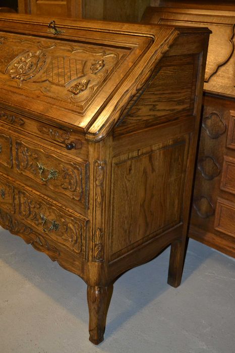 sekretarzyk ludwikowski .lity dąb .#2