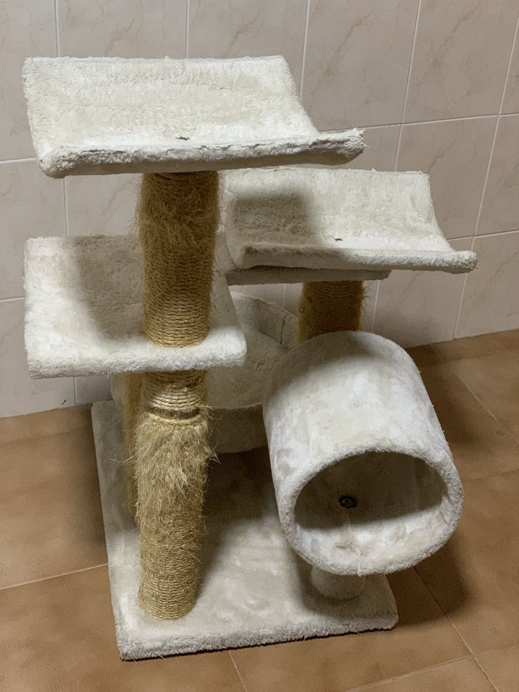 Arranhador gatos