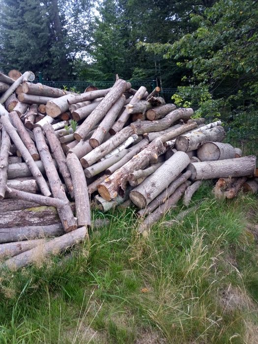 Drewno kominkowe Buk Dąb Jesion