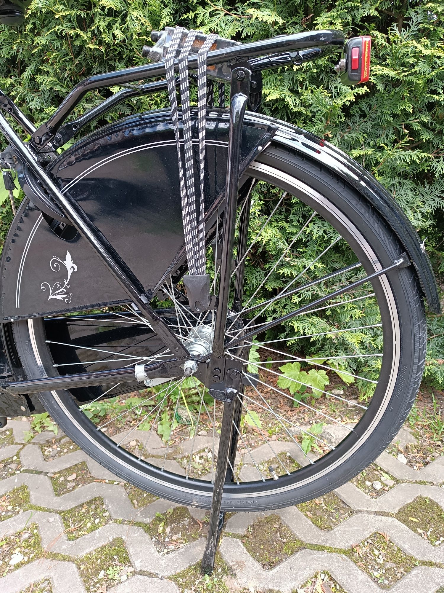 Nowa śliczna holenderka Van Cranenbroek