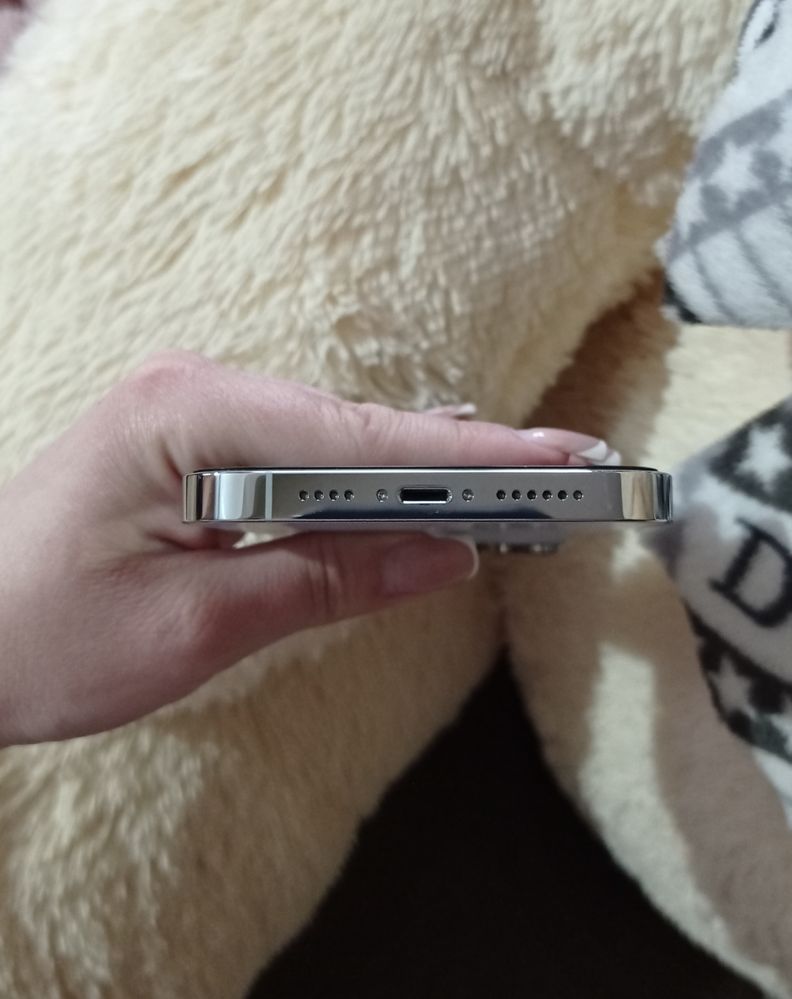 iPhone 14 Pro Max Silver