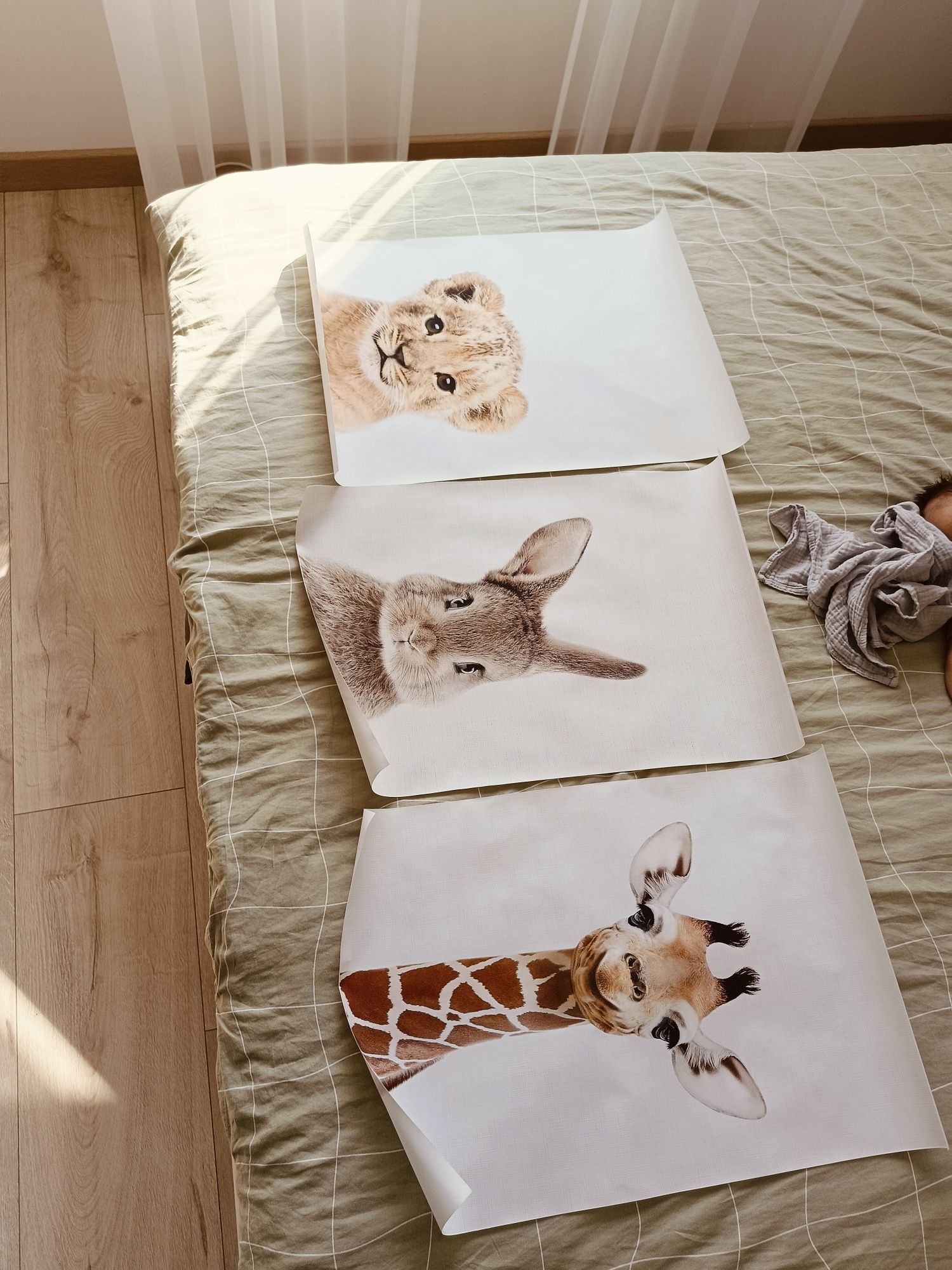 Plakaty do pokoju dziecięcego plakat zwierząt 40x60