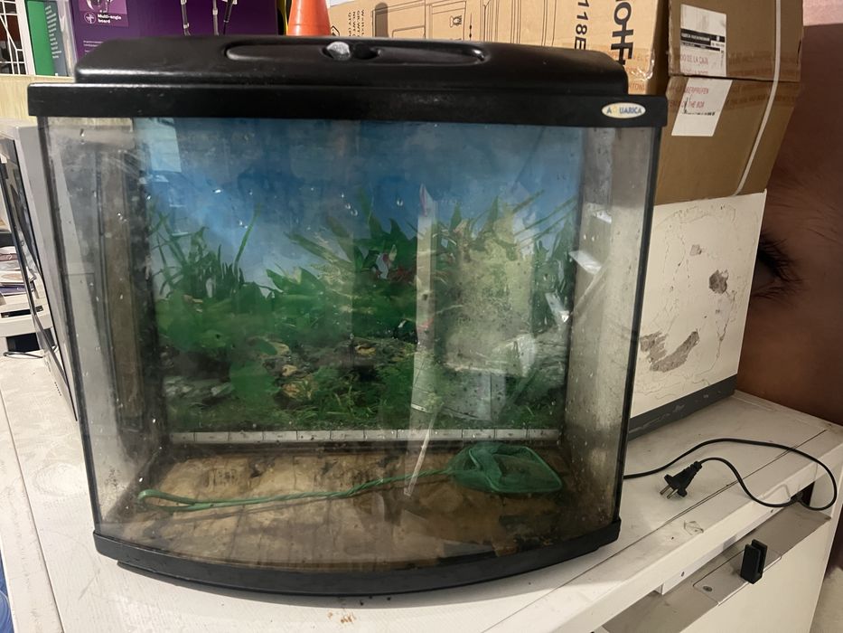 Акрвариум 66 литров