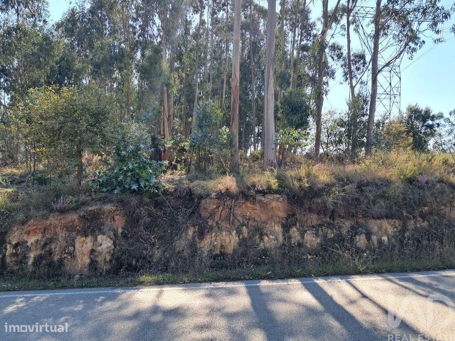 Terreno para construção em Souto da Carpalhosa e Ortigosa de 2154,00 m