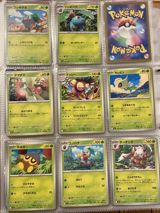 Coleção semi-completa Mega Lucario - (2025)