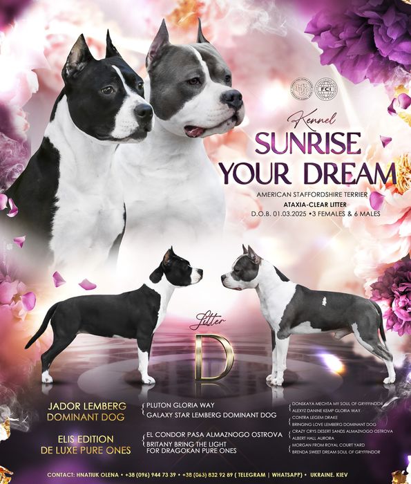 Роскошные щенки амстафф, стафф, стаффордширский терьер с документами!