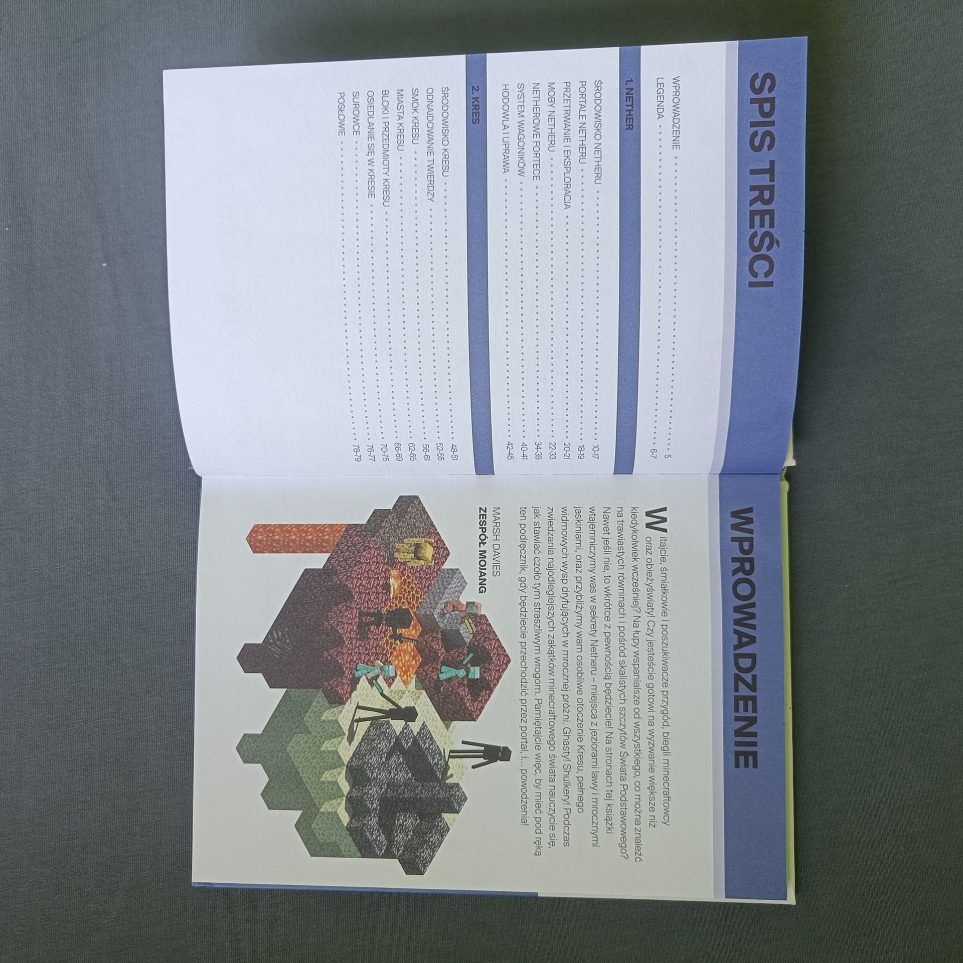 Podręcznik podboju netheru i kresu Minecraft