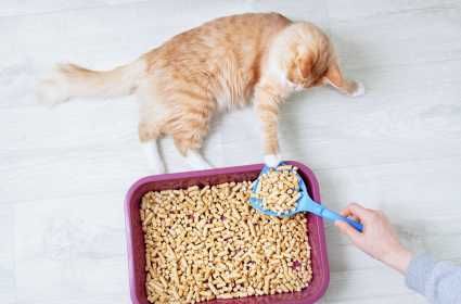 Super Benek Corn Cat Ultra Drobnoziarnisty Żwirek dla kota 14L