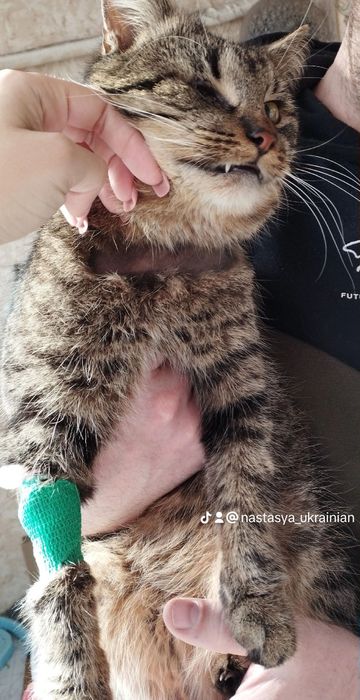 !Терміново! Пропав друг $ВИНАГОРОДА$