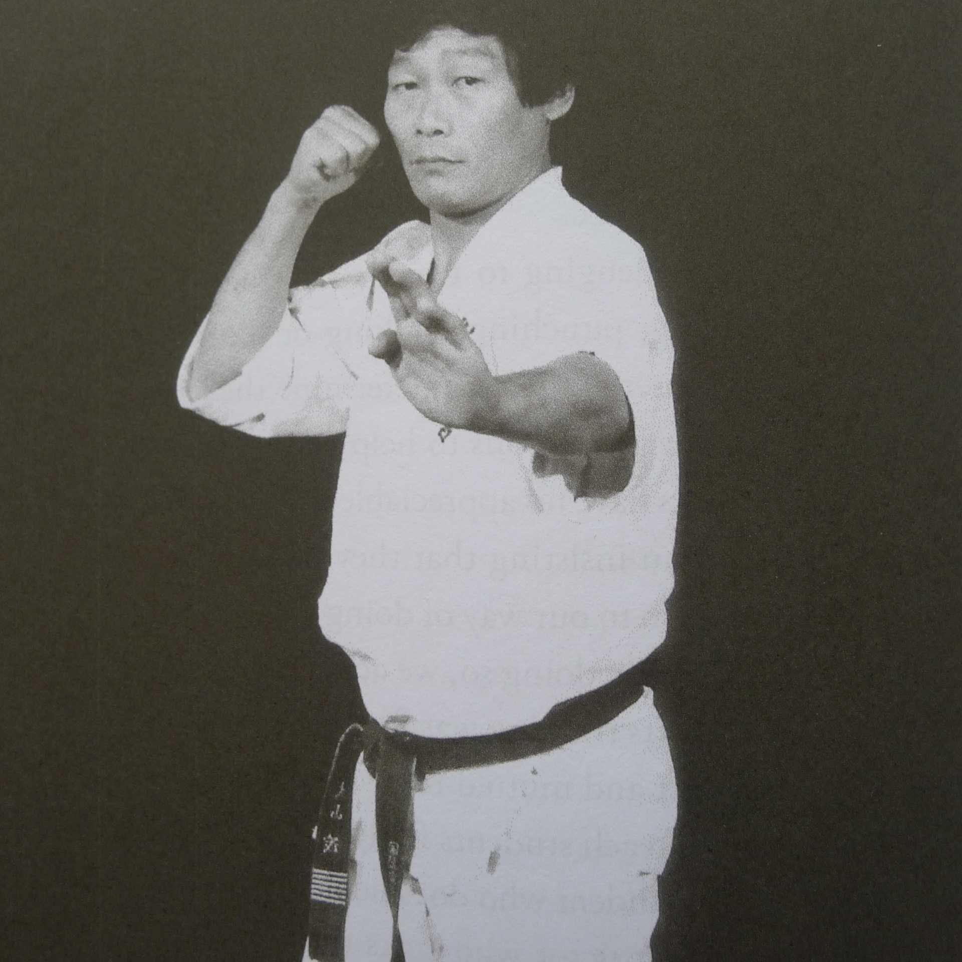 SHIGERU OYAMA - Perfect Karate /Ashihara, Bruin, Collins, Cook, Fitkin