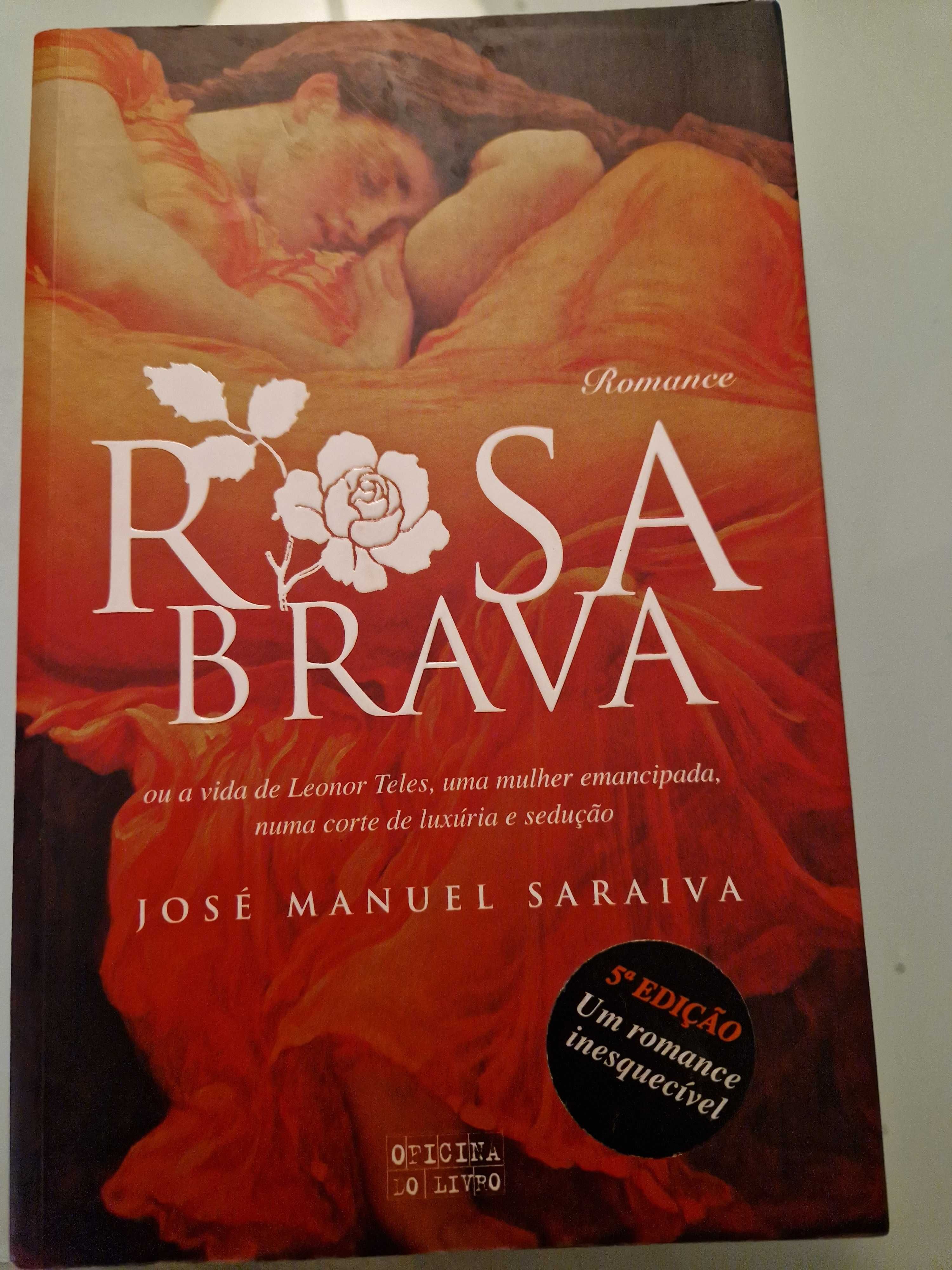 Rosa Brava - Um Romance Inesquecivel