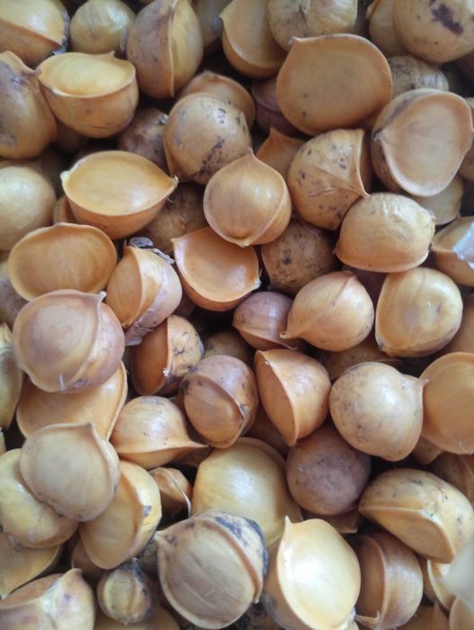 Дітки Дєтки рокамболь слонового