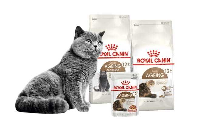 Royal Canin сухий корм для котів всі види - ВИГІДНА ЦІНА!