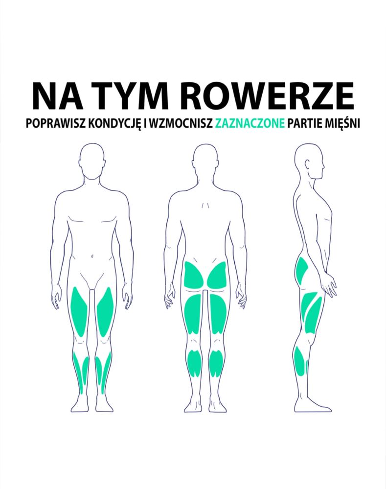 Rower magnetyczny trenigowy