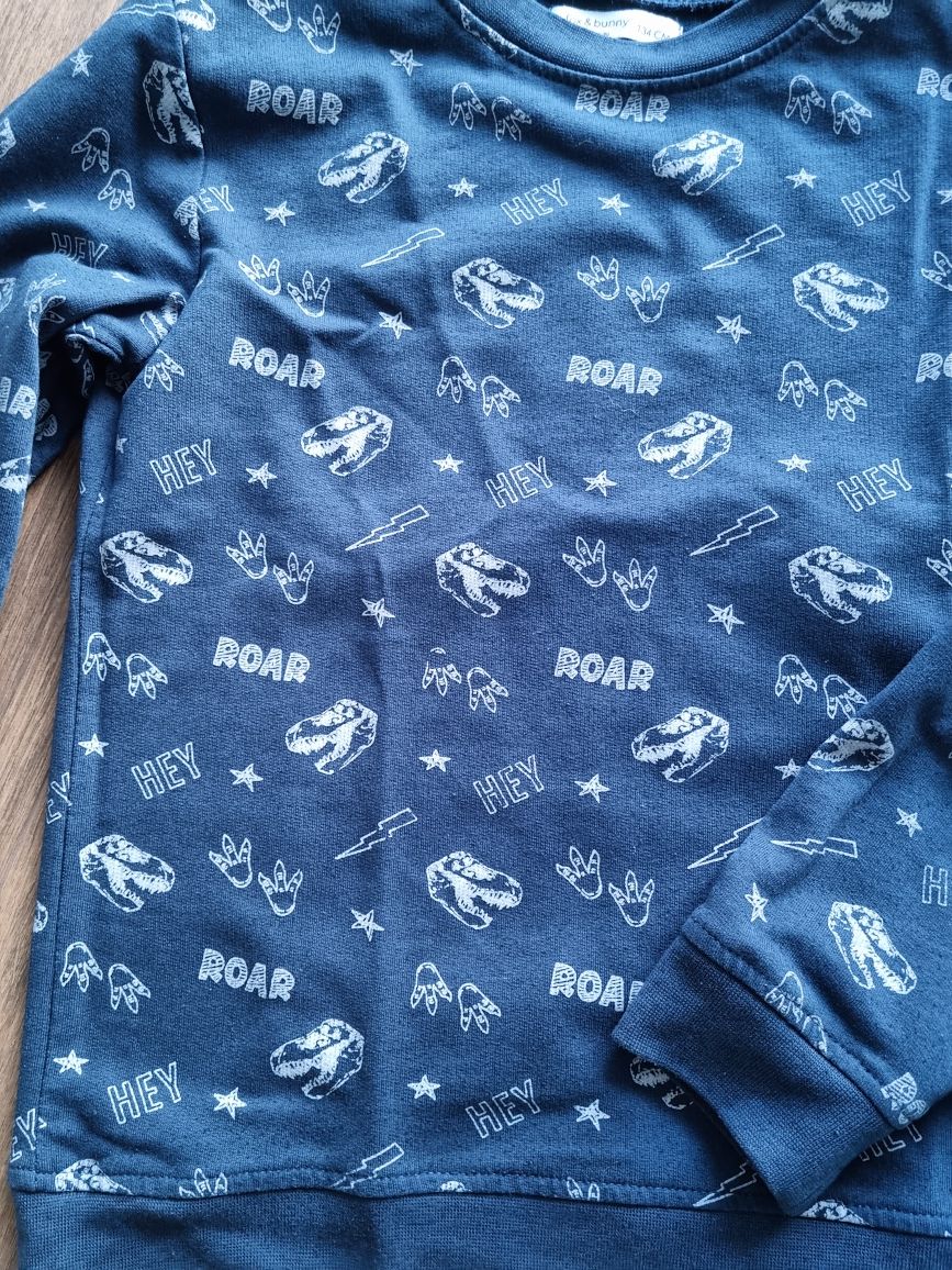 Bluza dinozaury Sinsay