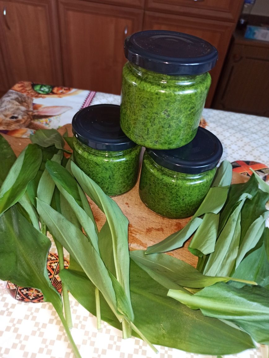 Czosnek niedźwiedzi pesto