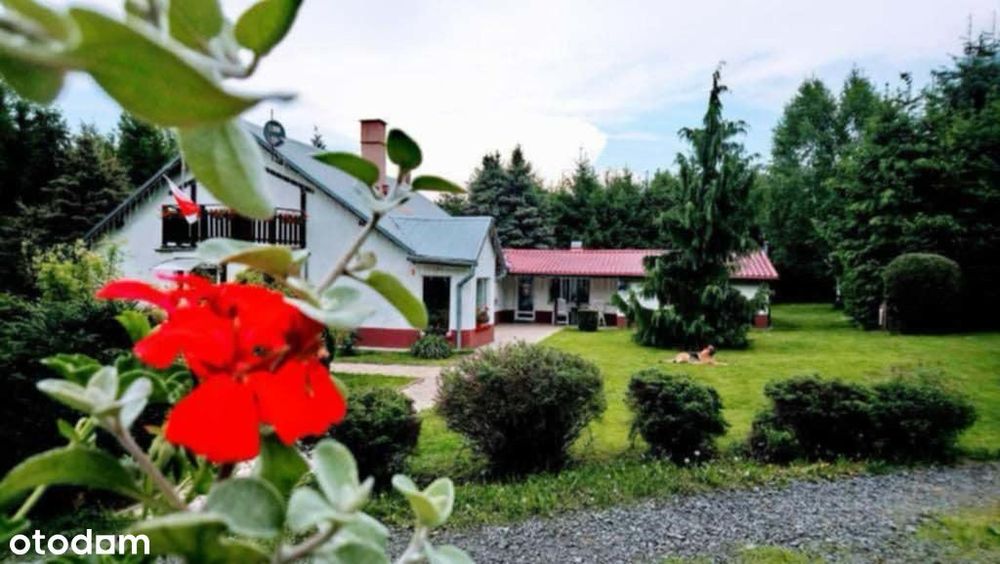 NOWA CENA !!Dom na dużej działce w pięknej okolicy