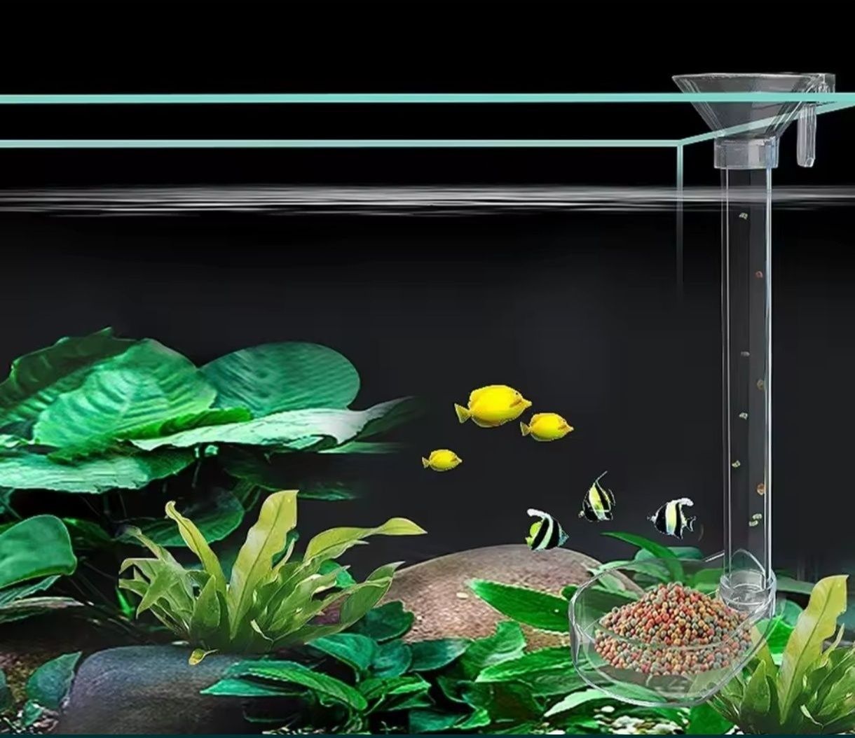Nowy karmnik akrylowy dla ryb i krewetek 22cm