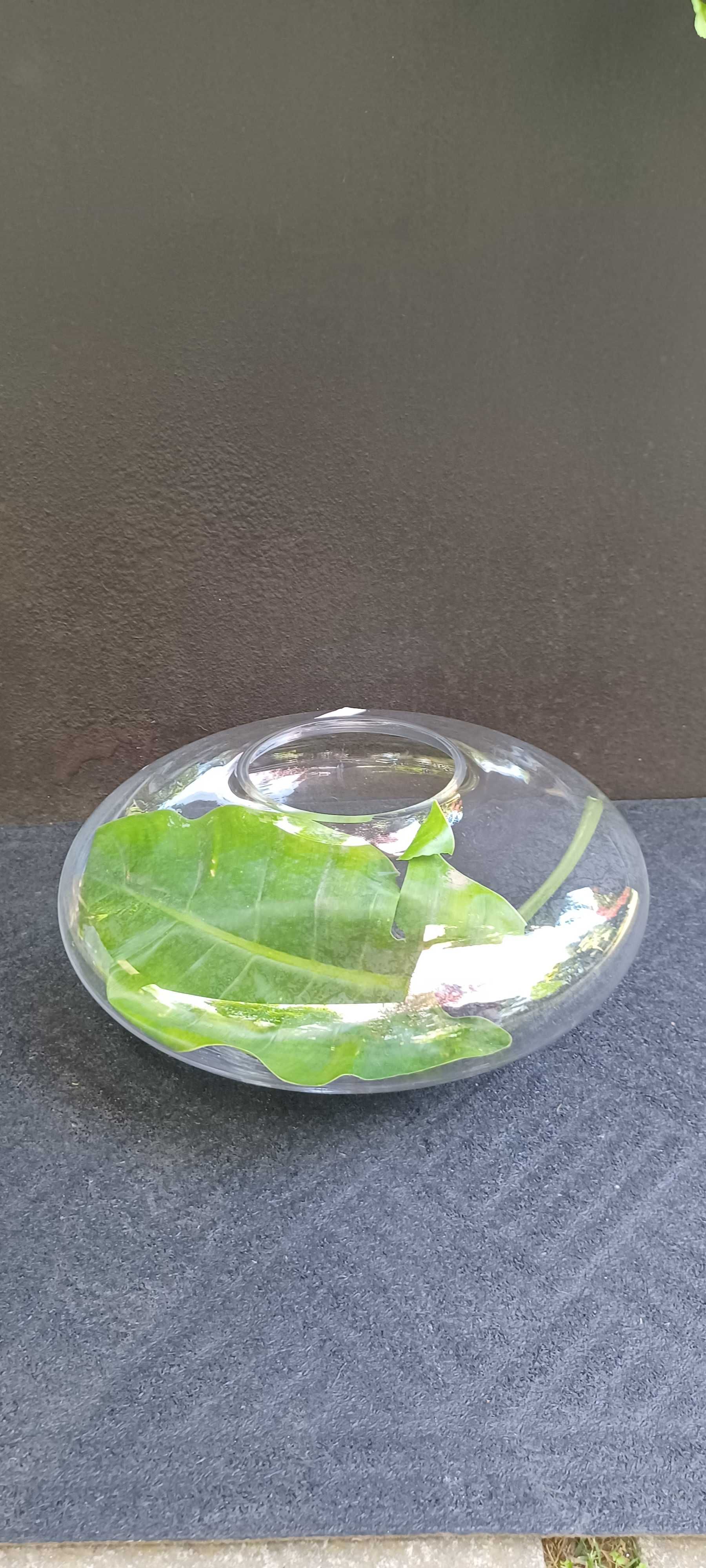 Taça vidro fundo redondo