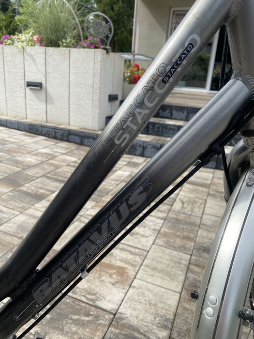 Rower Batavus Staccato