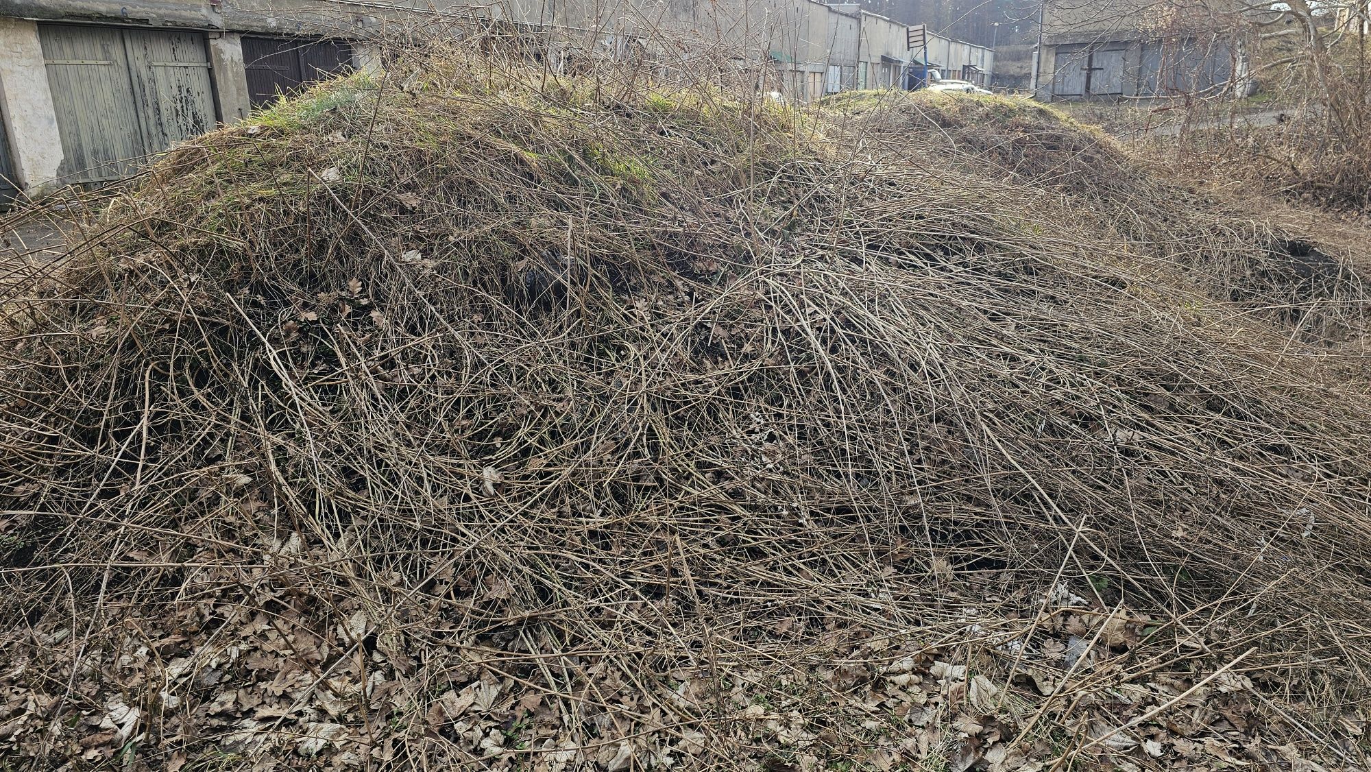 Oddam ziemię za darmo