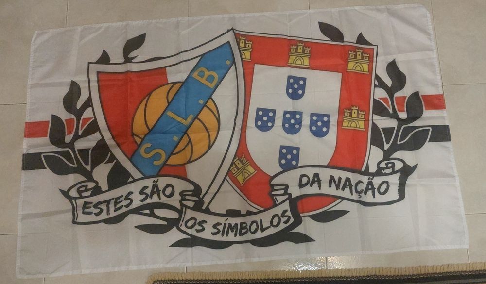 Bandeira estes são.os simbolos da nacao