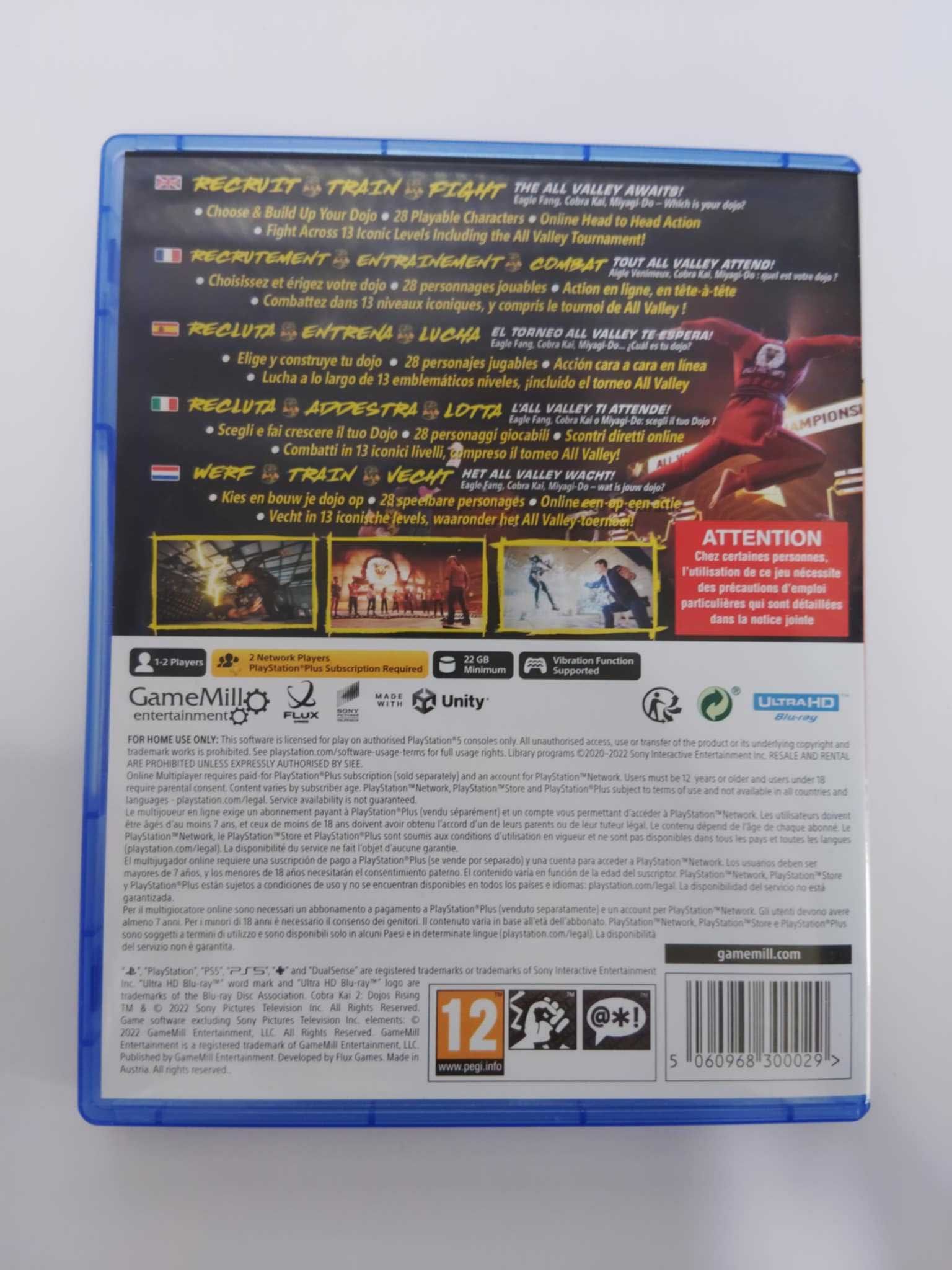 Cobra Kai 2 Dojos Rising PS5 Angielska wersja gry