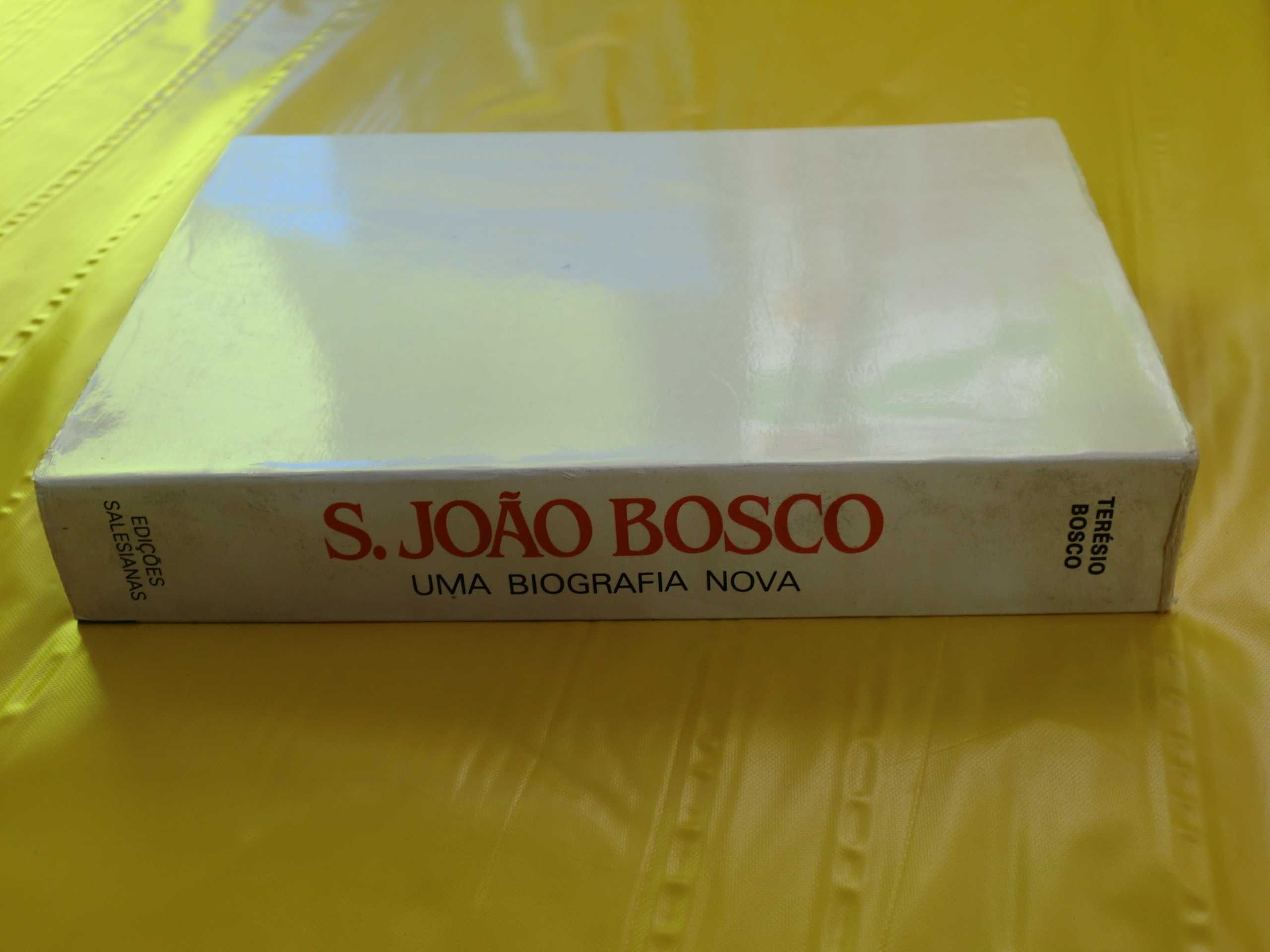 S. João Bosco
de Terésio Bosco