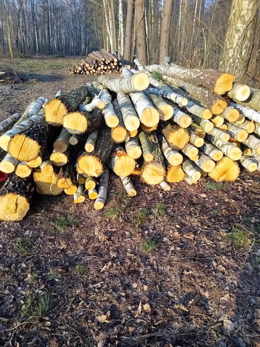 Drewno opałowe,  w wałkach sosna brzoza olcha
