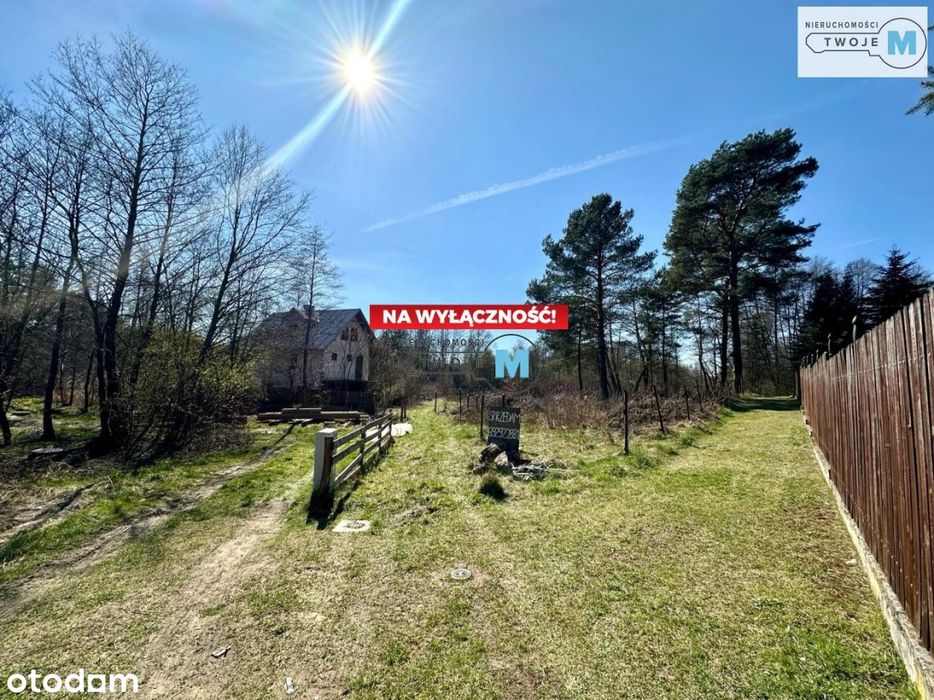 Urokliwa działka, w pobliżu las oraz rzeka Nida.