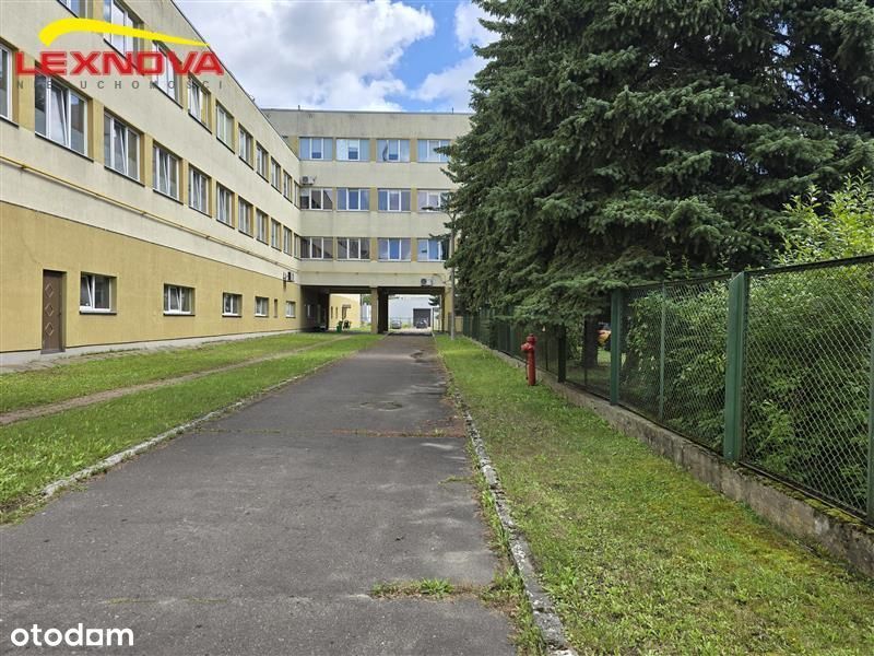 Lokal użytkowy - Elbląg