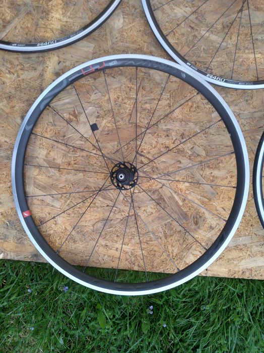 Kola Dt Swiss R 460  , Giant