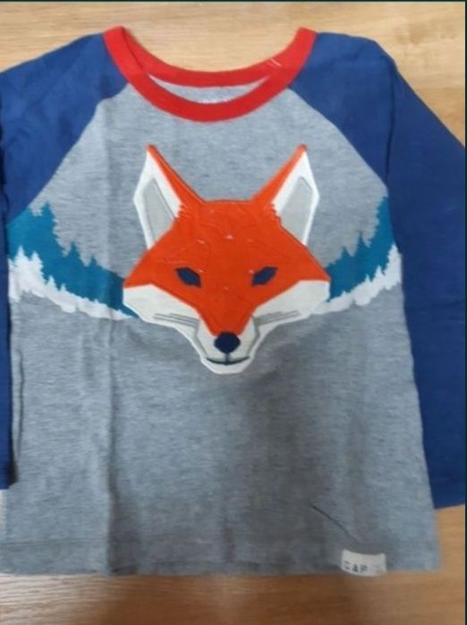 Camisa flanela, sweats calças Quicksilver, GAP e Tommy,menino 4 Anos