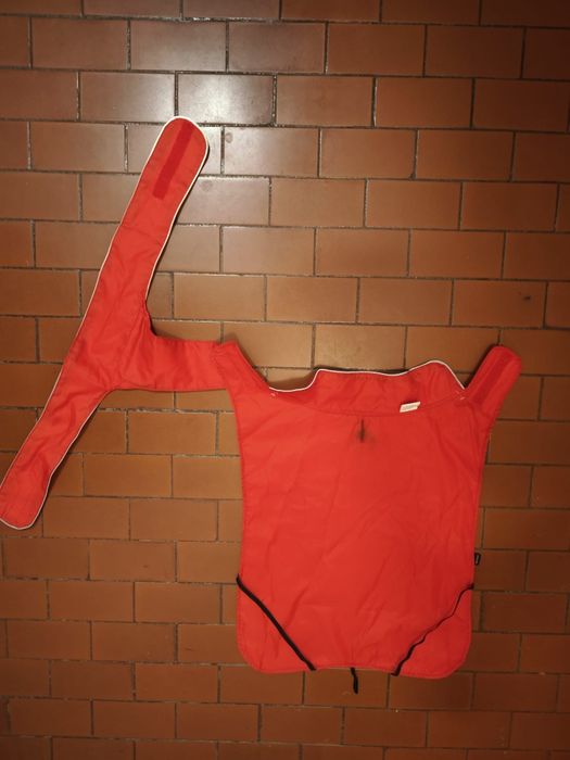 Gabardina capa de chuva para cão porte médio