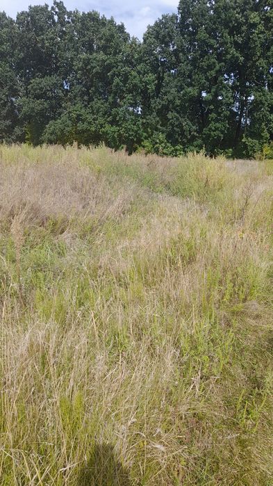 Продаж земельної ділянки у с.Трушки