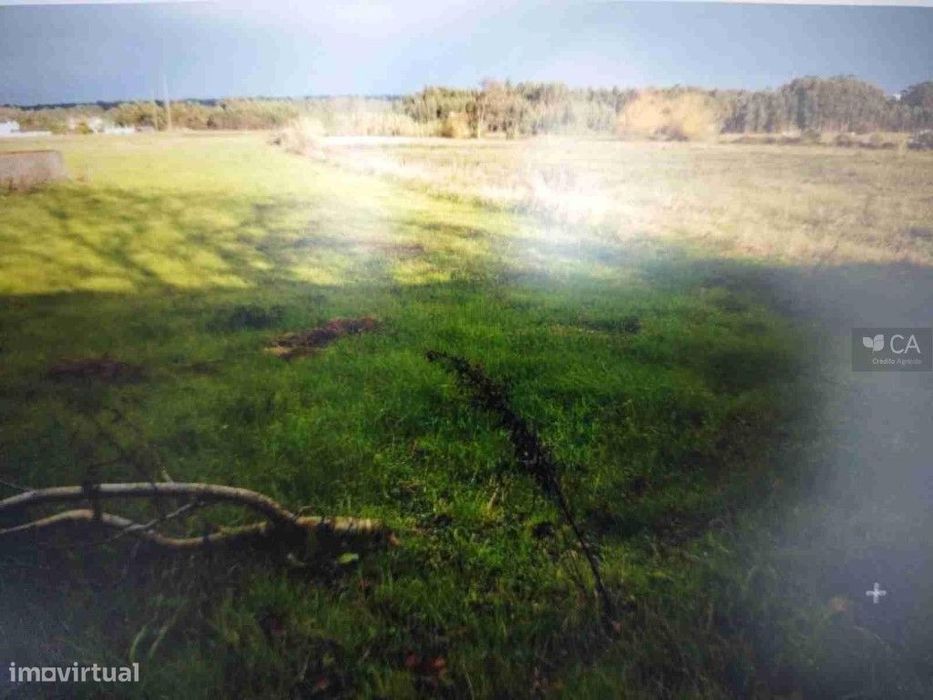 Terreno Rustico - Serrinha