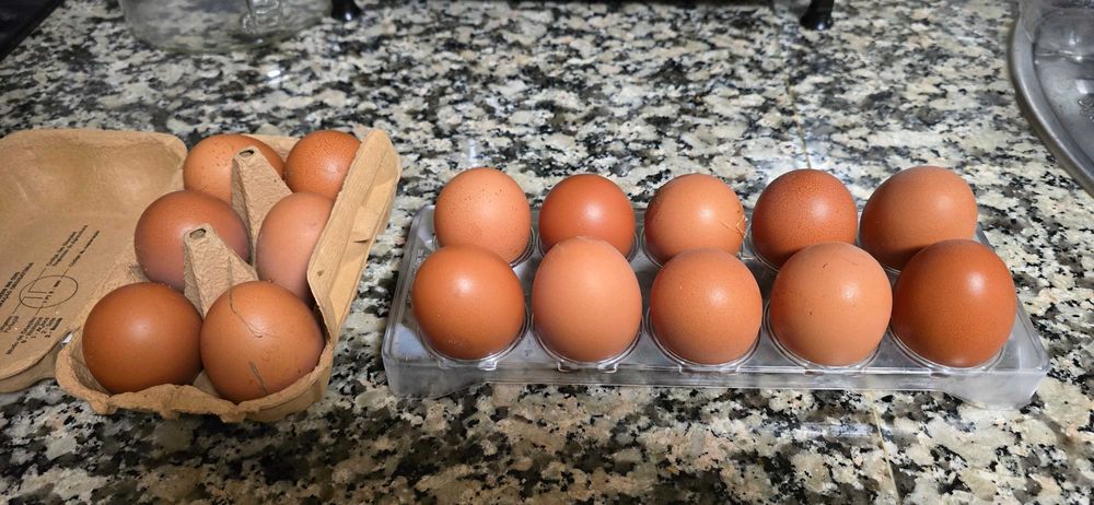 Ovos caseiros Azeitao